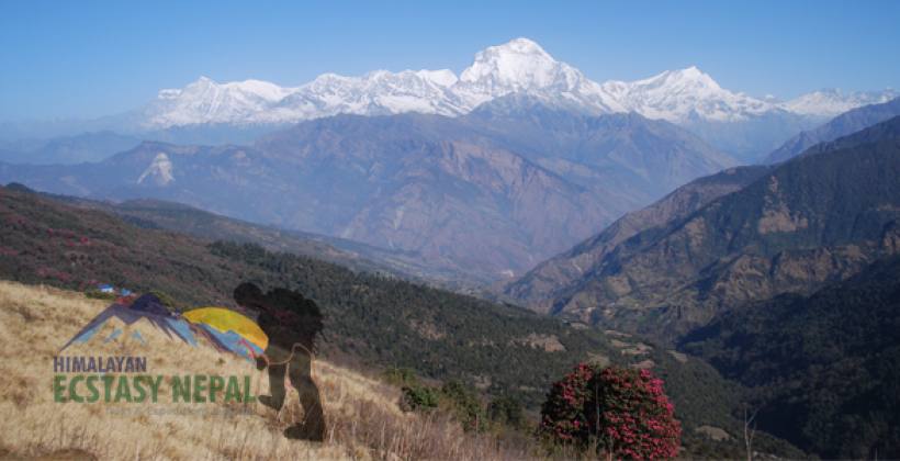 Annapurna Region Trek