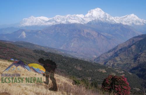 Annapurna Region Trek